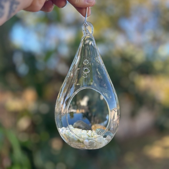 7” Glass Hanging Air Plant Terrarium - Teardrop Shape - Picture 2 of 8